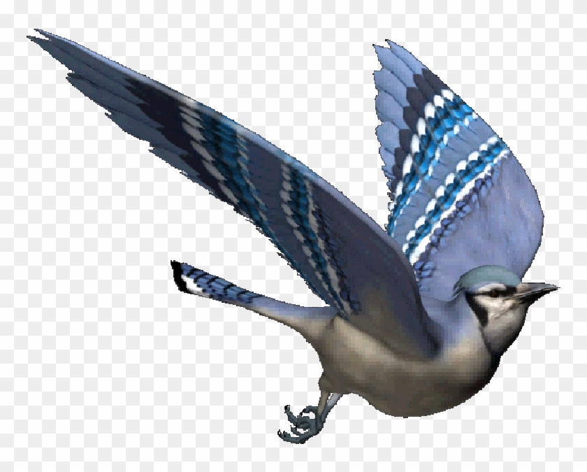 Bird In Flight Transparent Fly Bird Free Transparent PNG
