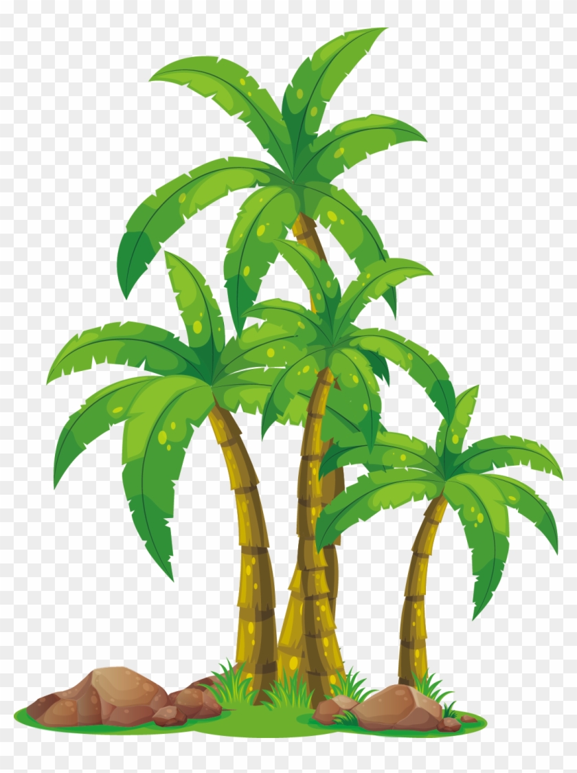 Arecaceae Euclidean Vector Clip Art Palm Tree Clip Art Full Size