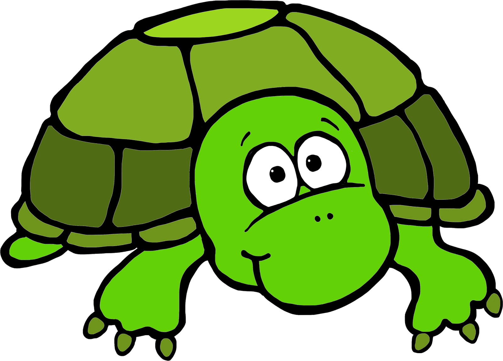 Turtle download. Черепаха рисунок. Черепаха мультяшный. Черепашка мультяшная. Черепаха на прозрачном фоне.