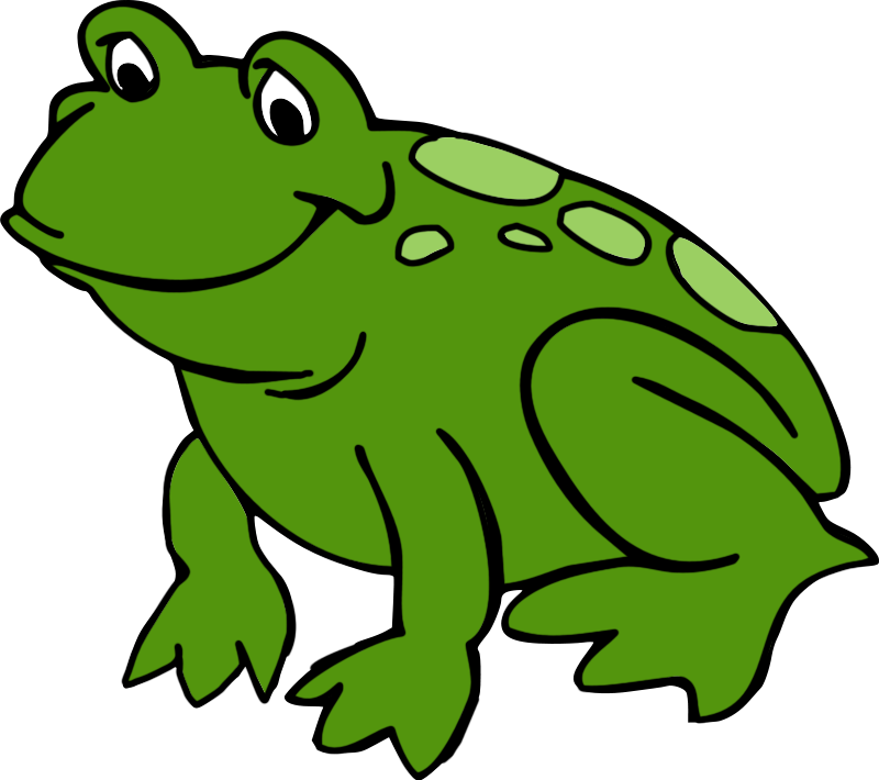 Cute Frog Clipart - Sensor - (800x710) Png Clipart Download