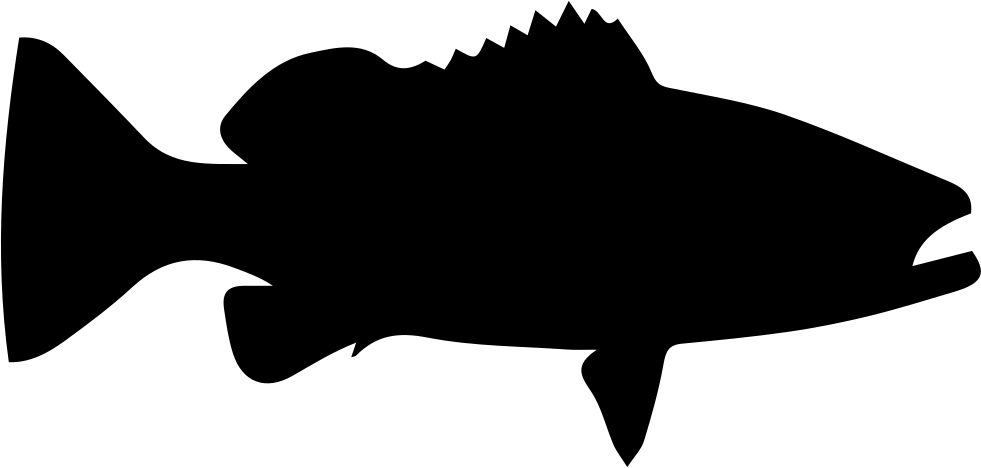 Download Warsaw Grouper Fish Shape Svg Png Icon Free Download Portable Network Graphics 981x468 Png Clipart Download