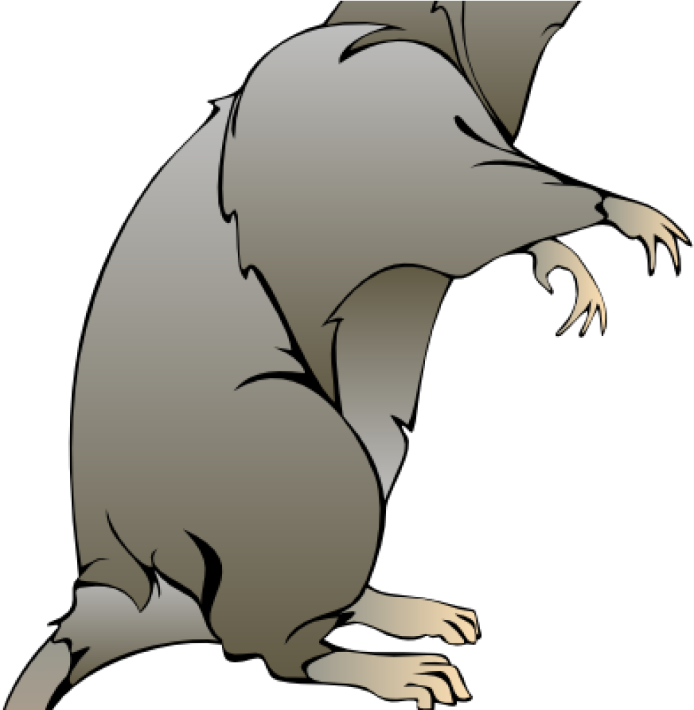 Rat Clipart Rat Clip Art At Clker Vector Clip Art Online - Cartoon Rat 