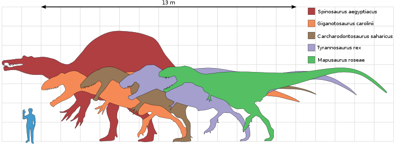 Carcharodontosaurus Vs Tyrannosaurus Rex 