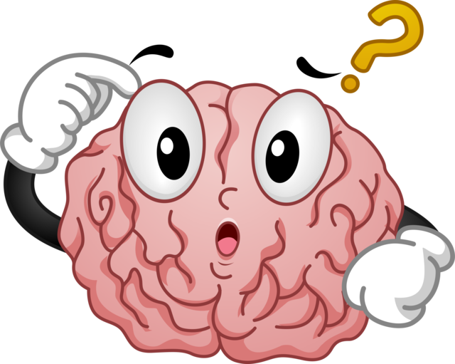 Brain Clipart Tumblr Transparent Brain With A Question Mark 640x511 Png Clipart Download