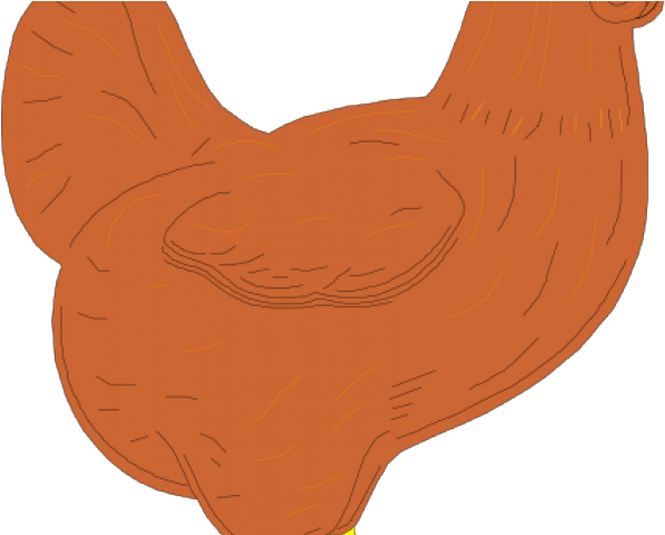 Rooster Clipart Brown - Duodenum (640x480)