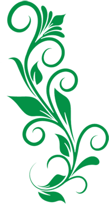 Curly Floral Art Green Vector Clipart Png - Free Floral Vector Png ...