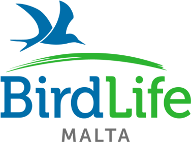 Logo - Birdlife Malta (450x340)