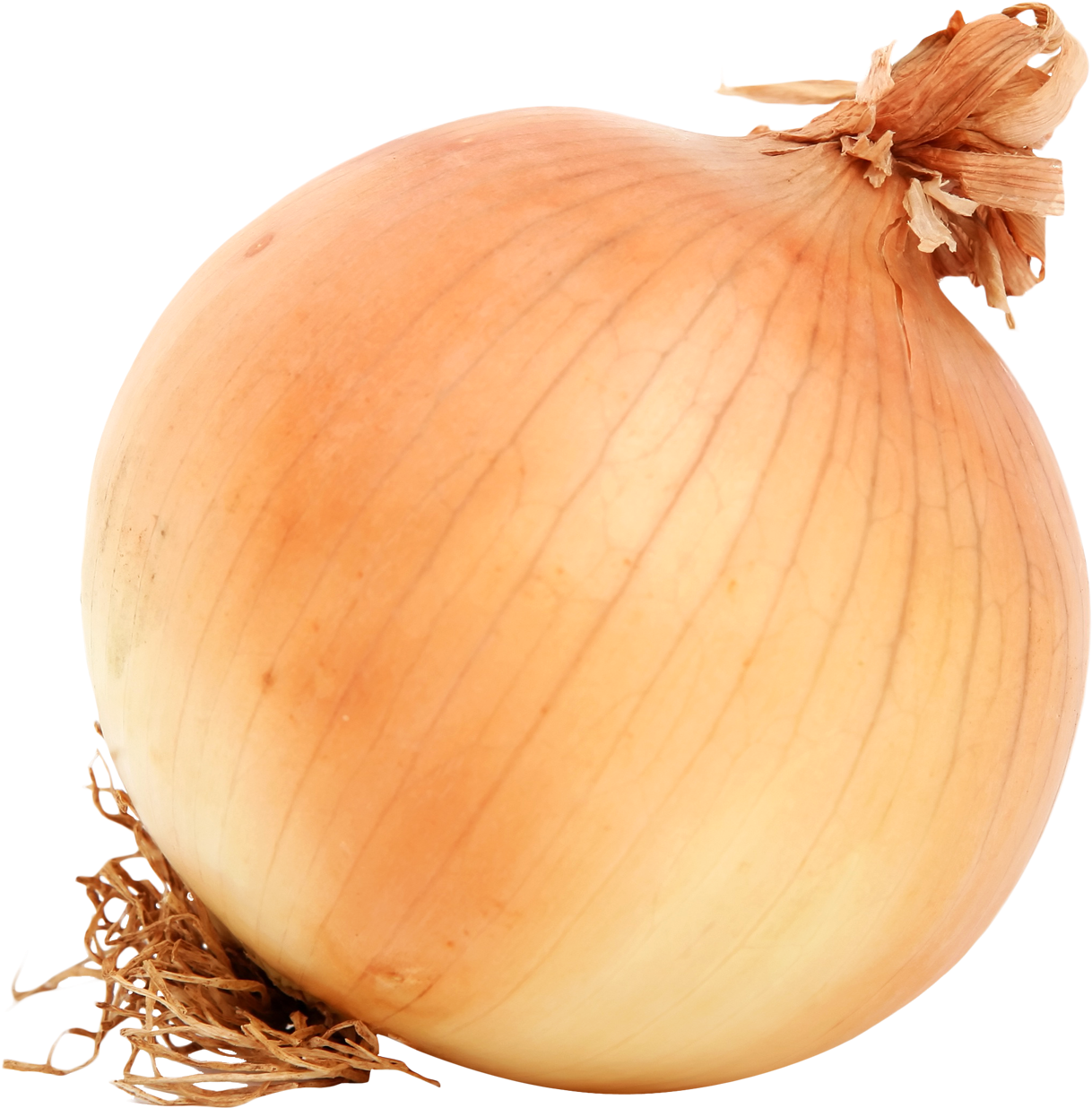 Onion's