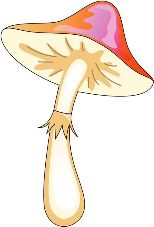 Mushroom - Vector Mushroom (559x800)
