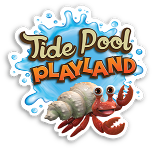 Tide Pool Playland - Activities & More Leader's Cards: Preschool [book] (465x300)