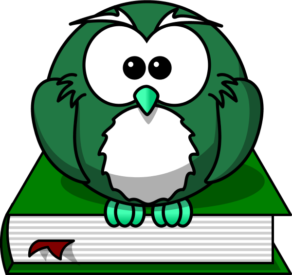 Owl - Cartoon Owl Shower Curtain (600x565)
