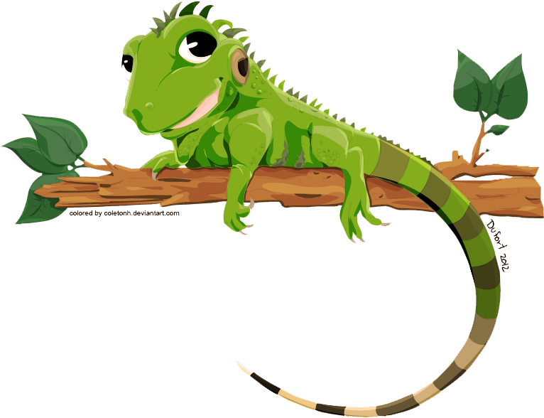 Iguana Png Transparent Image Iguana Vector 774x596 Png Clipart Download