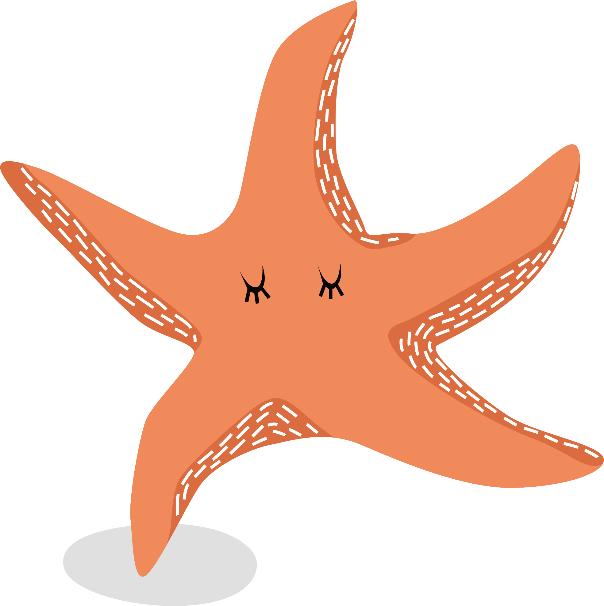 Starfish Euclidean Vector - Starfish Euclidean Vector (1969x1976)