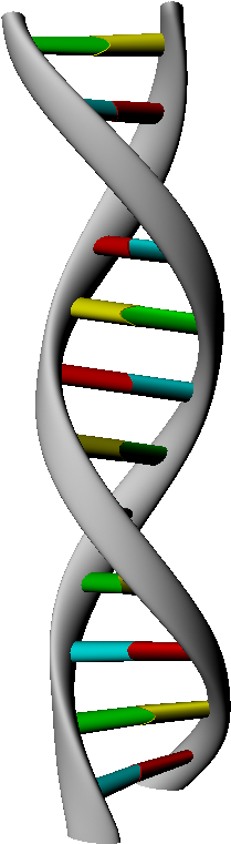 3d Dna Strand Rendering - Headband - Full Size Png Clipart Images Download