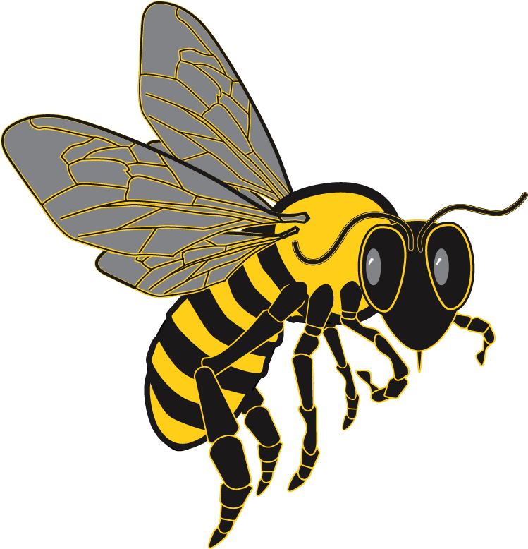 Bee Graphic From Clip Art Package - Killer Bee Transparent Background ...