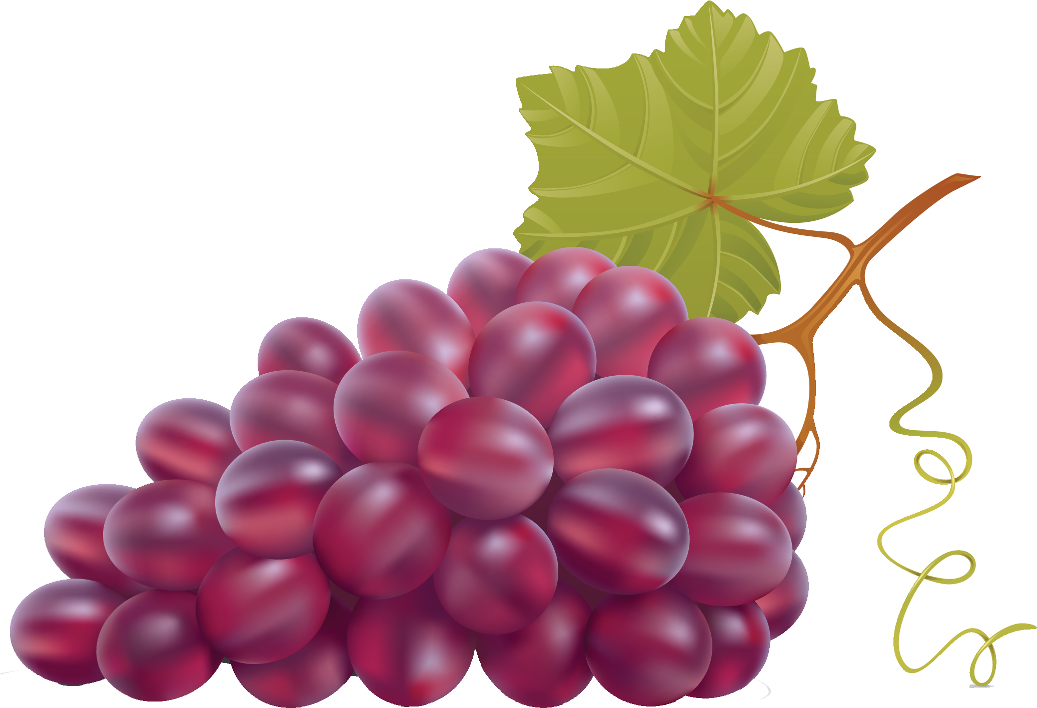 Grape berry. Виноград Ризамат. Виноград виноград Карпушева. Карточка виноград. Гроздь винограда.