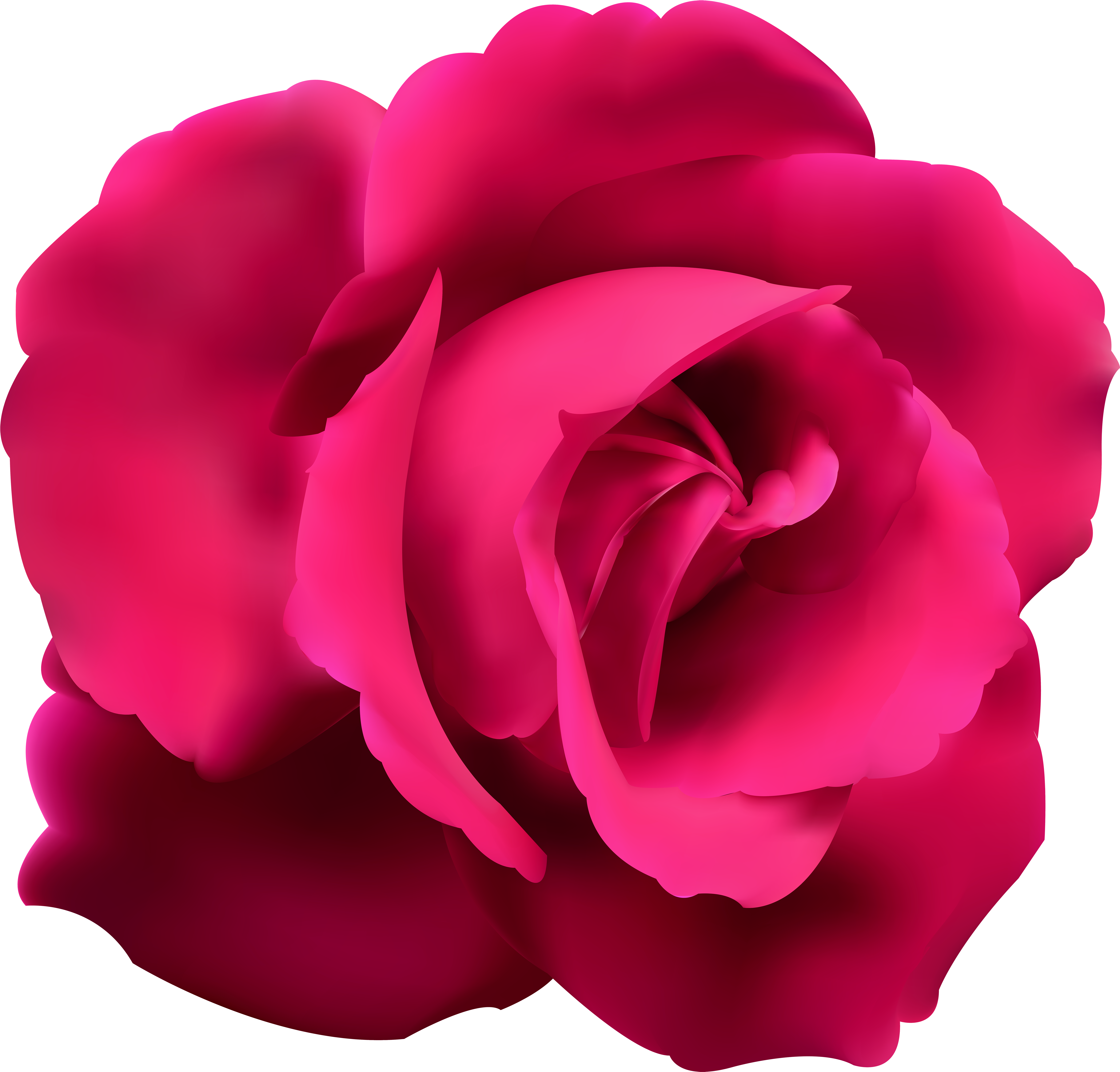 Rose png