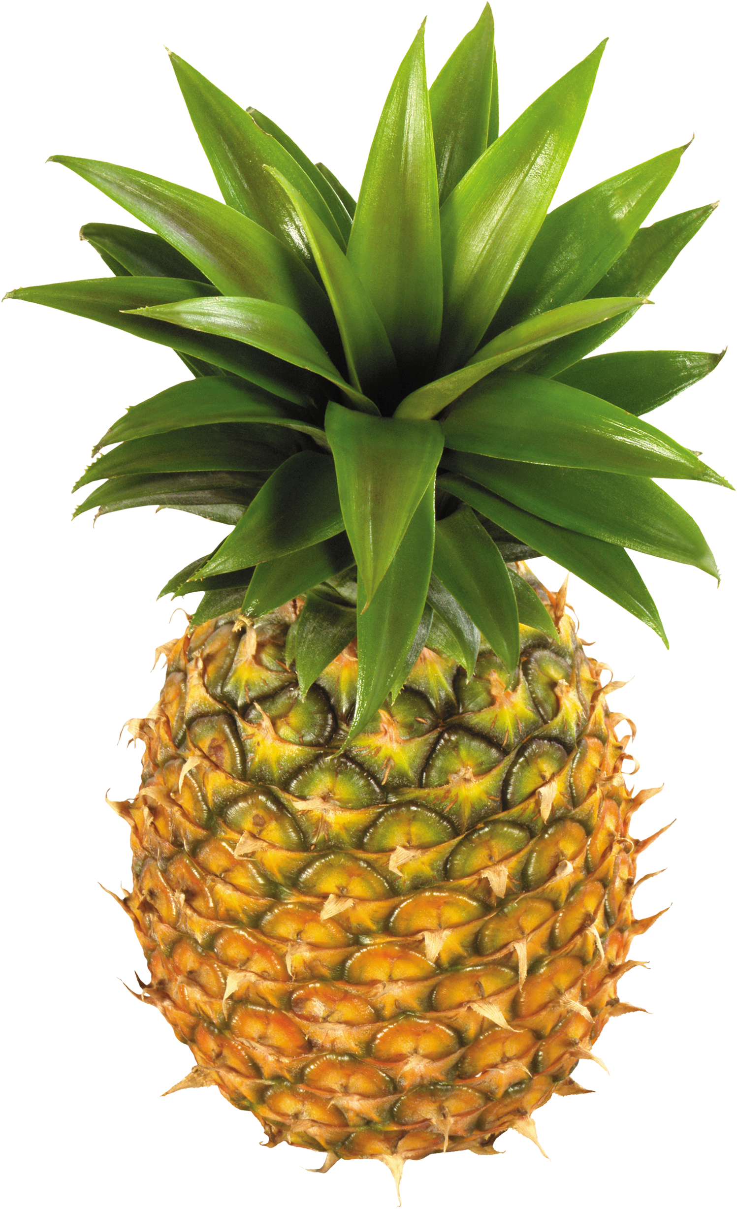 Pineapple fruit. Ананас. Слайс ананаса. Фрукты ананас. Юдзу ананас.