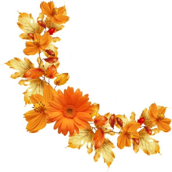 Orange Fl Border Png Image Background Png Arts - Orange Flower Border ...