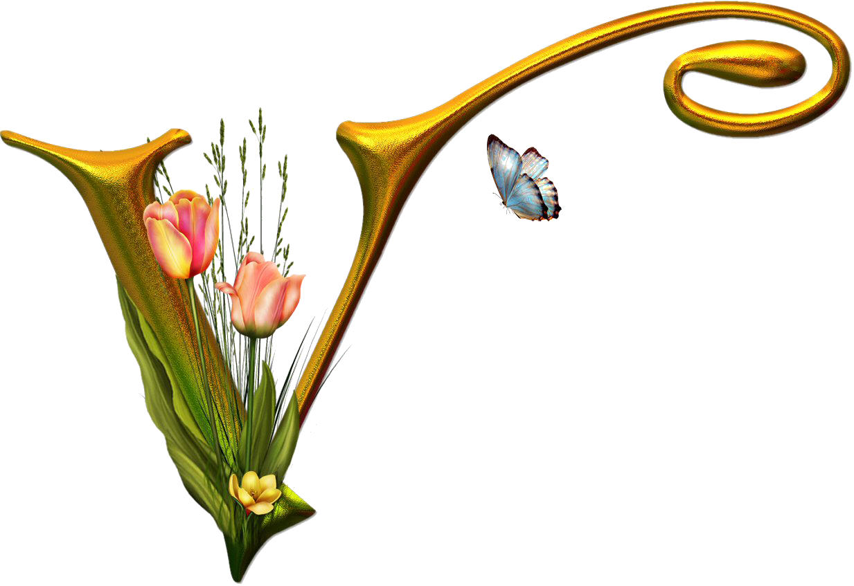 Bello Alfabeto Con Flores Y Mariposas - Letras - (1233x847) Png Clipart  Download