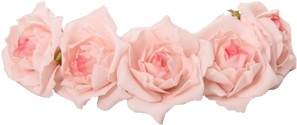 Coroas De Flores Png - Pastel Pink Flower Crown Transparent - (600x600) Png  Clipart Download