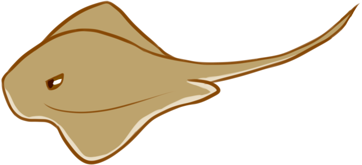 Blunt-nosed Stingray By Kajuale - Blunt-nosed Stingray By Kajuale (800x400)