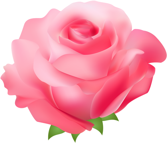 Pink Rose Png Transparent Clip Art Image - Pink Rose Clipart Png - Full ...