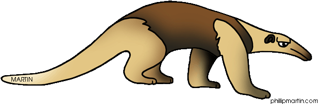 Anteater Clipart - (648x225) Png Clipart Download