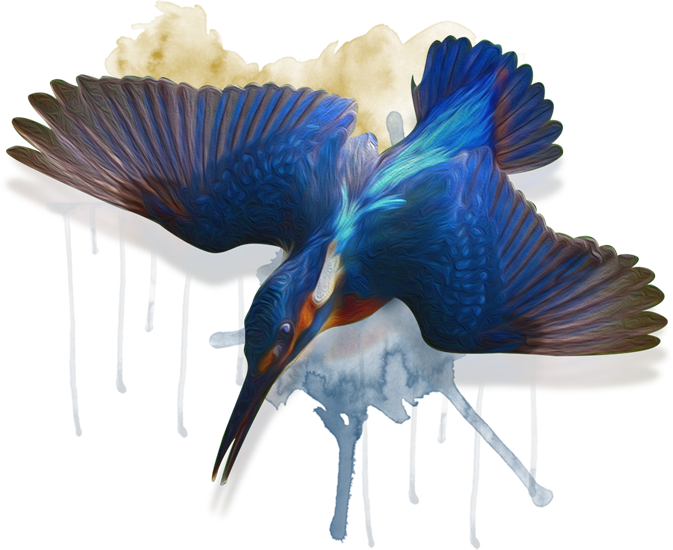 Kingfisher - Kingfisher (673x550)