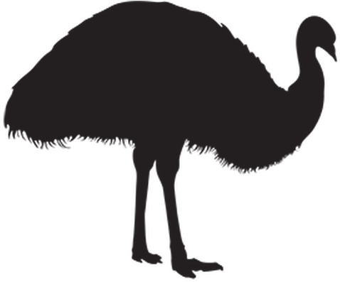 Emu Clipart Silhouette - Silhouette Of A Emu - (555x399) Png Clipart ...