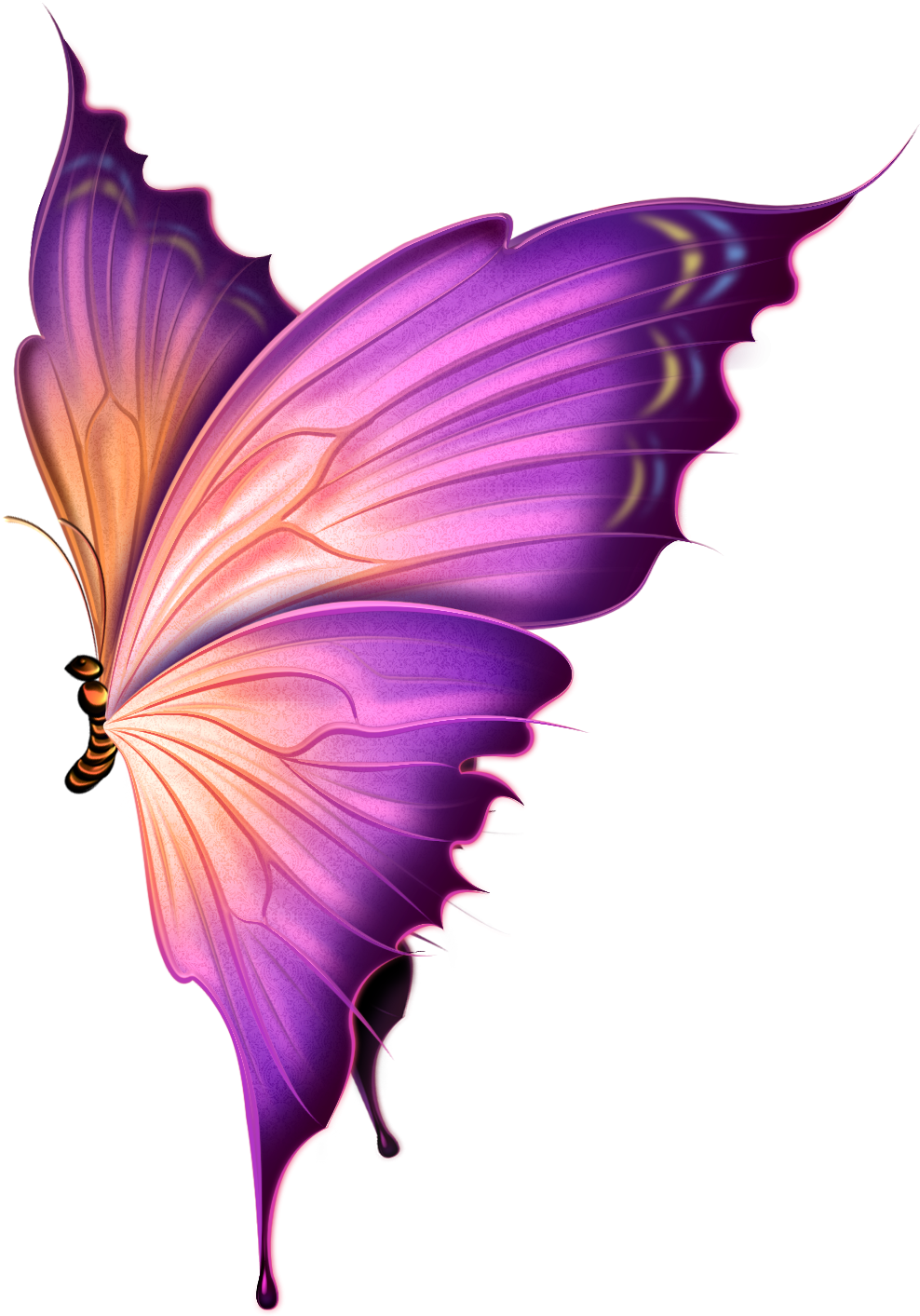 Красиво png. Сиреневые бабочки. Бабочка фиолетовая. Красивые бабочки на прозрачном фоне. Бабочка рисунок.
