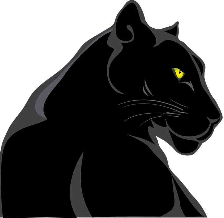 Panther Hewan Kucing Animal Pantera Png 741x720 Png Clipart Download