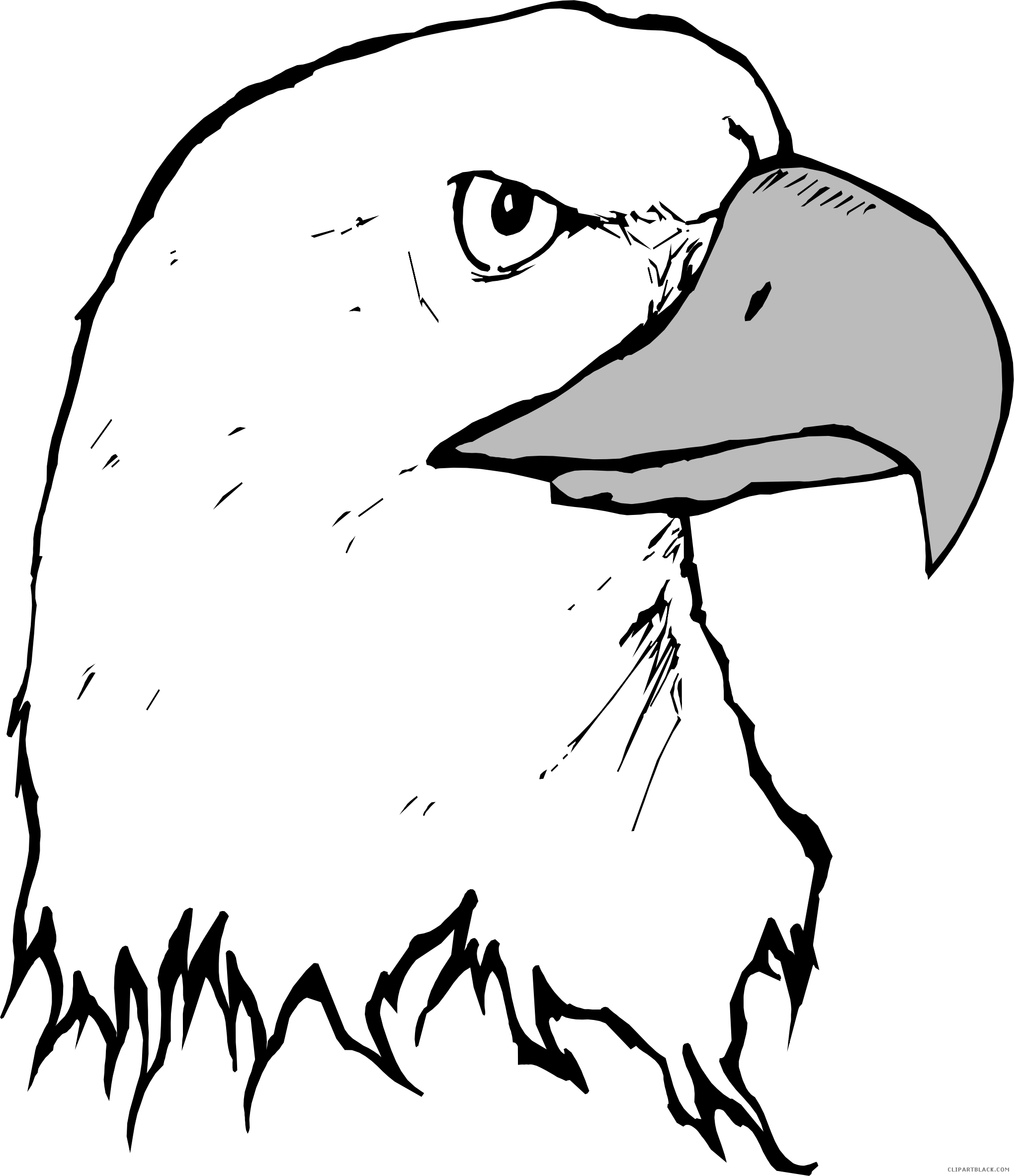 Eagle Animal Free Black White Clipart Images Clipartblack - Cartoon Eagle Head (2040x2366)