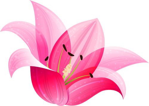 การ์ตูน ดอกไม้ สีชมพู (500x356)
