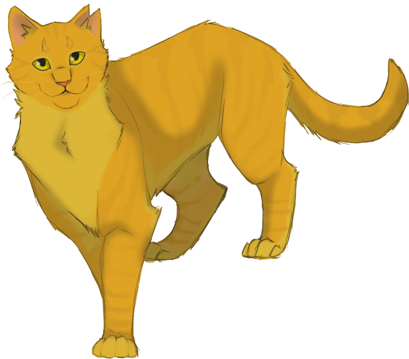 Sunstar - Sunstar Warrior Cats (900x799)