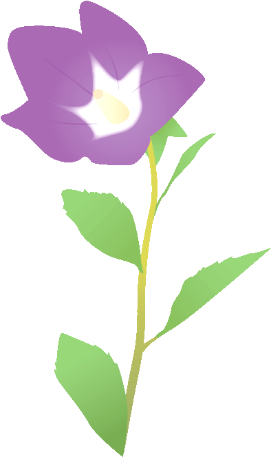 245 桔梗 キキョウ Bellflower 桔梗 イラスト 452x739 Png Clipart Download