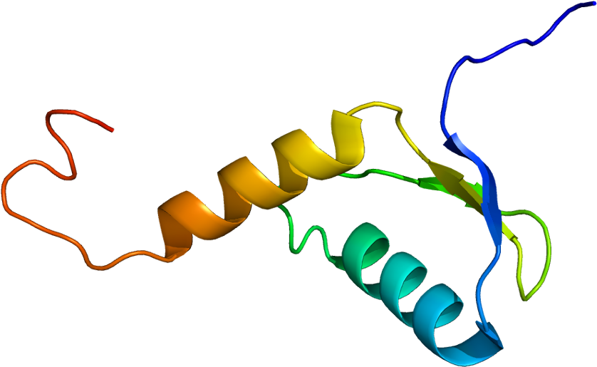 Protein Data Bank - (887x564) Png Clipart Download