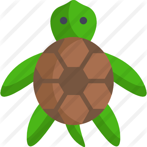 Turtle - Chelonoidis - (512x512) Png Clipart Download