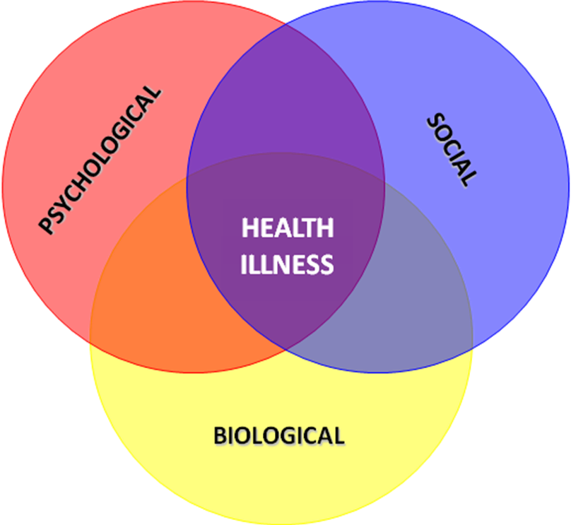 Biopsychsocial-model - Biological Model Of Health - (808x743) Png ...