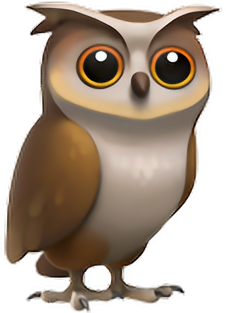 Owl Emoji Png 1024x1024 Png Clipart Download