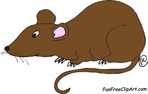 brown rat clipart images