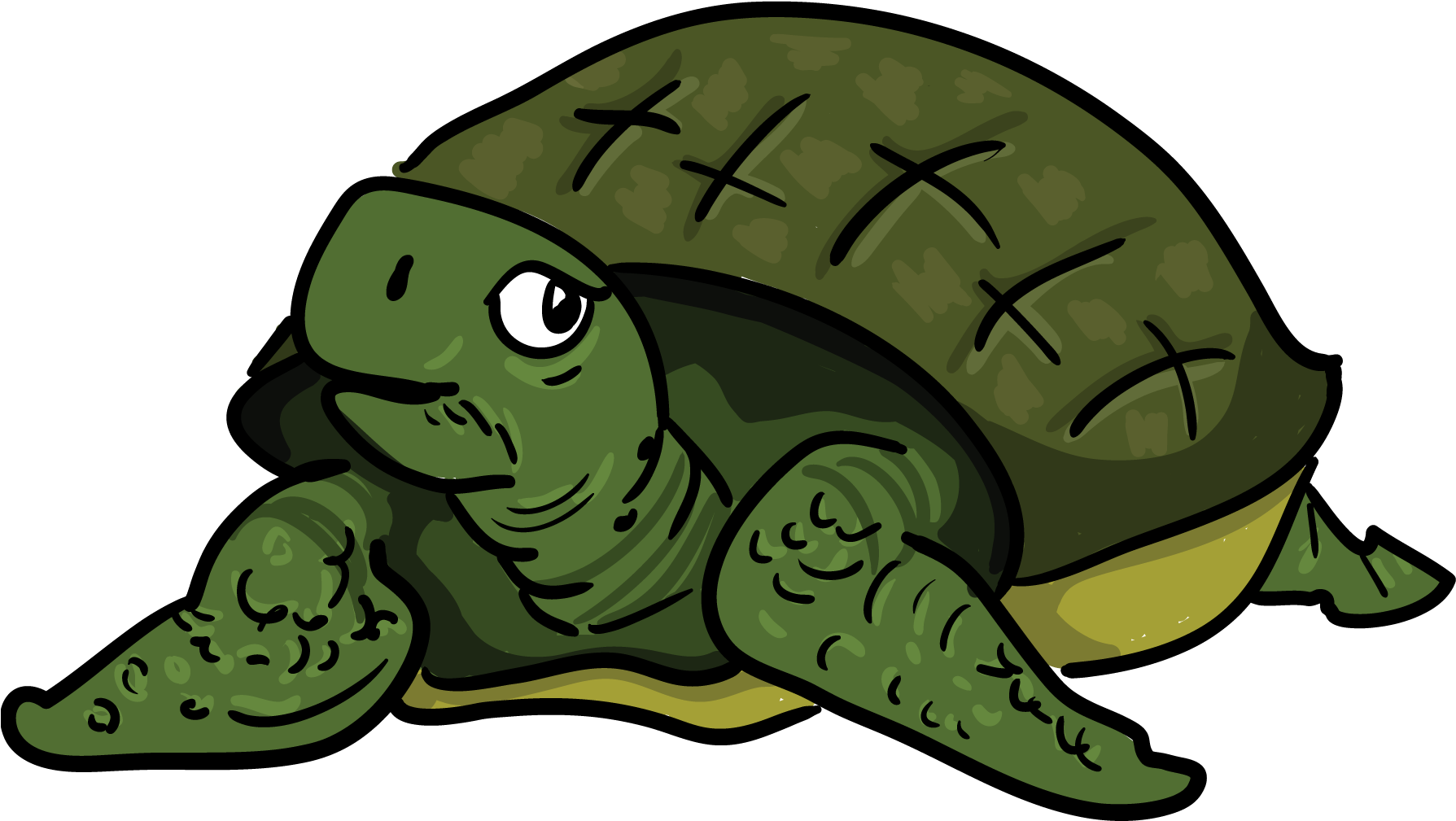 Turtle download. Черепаха рисунок. Черепаха мультяшная. Черепашка рисунок. Черепаха на прозрачном фоне.