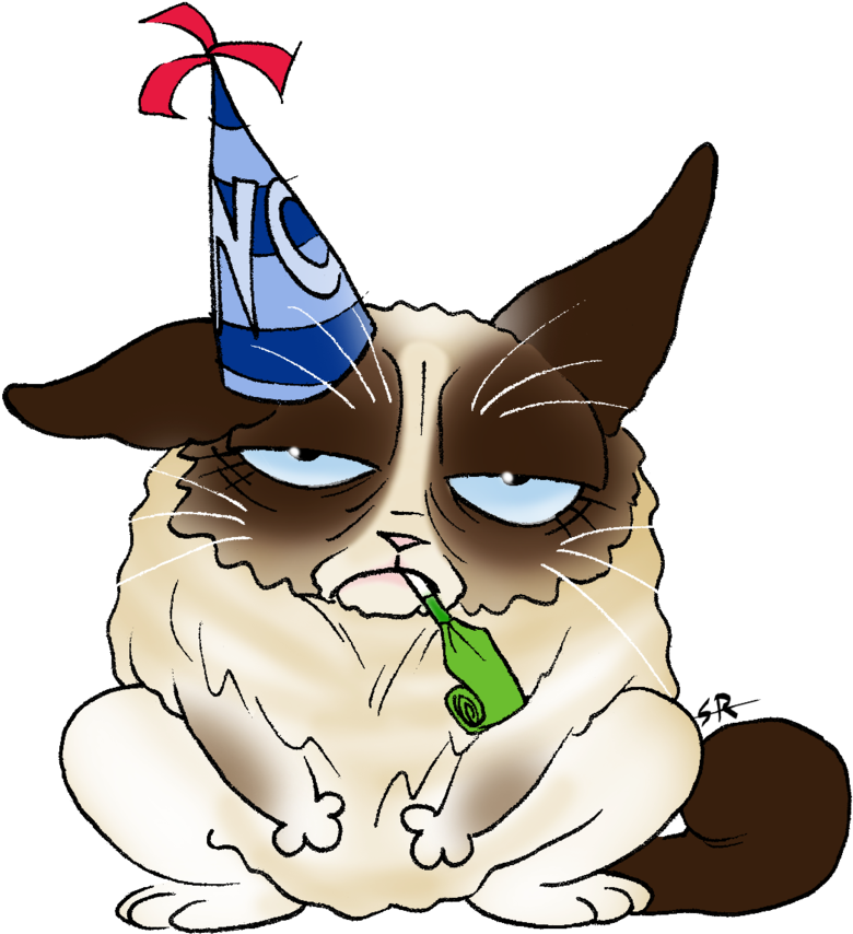 Grumpy Cat By Sunny X Ray Cartoon 800x877 Png Clipart Download