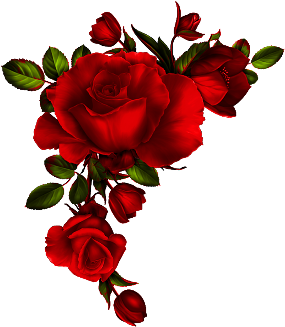 Yükle Red Rose Petals Vector Material, Background, - Rose Corner Border ...