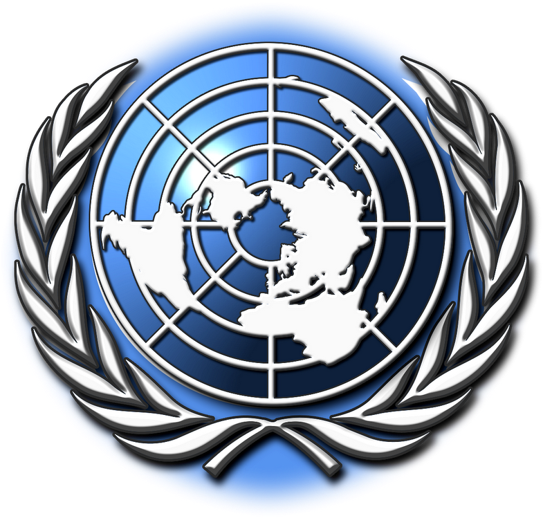 The united nations organization презентация