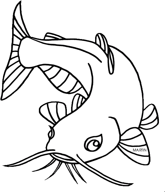 United States Clip Art By Phillip Martin, Tennessee - Easy To Draw Catfish (617x648)