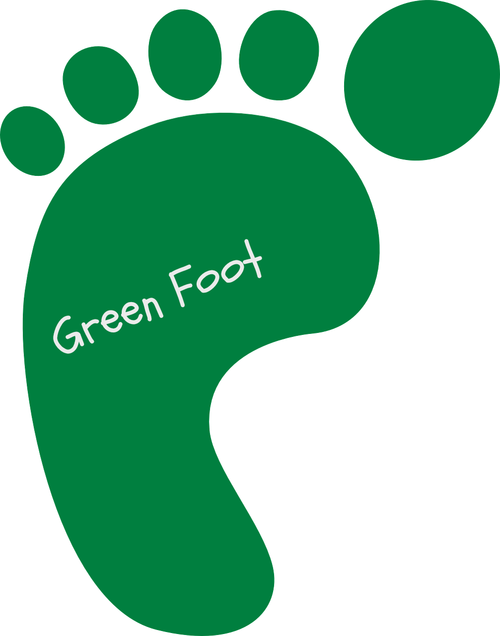 The Human Foot And Ankle Is Made Up Of 26 Bones, 33 - Green Footprint Clipart (1007x1280)