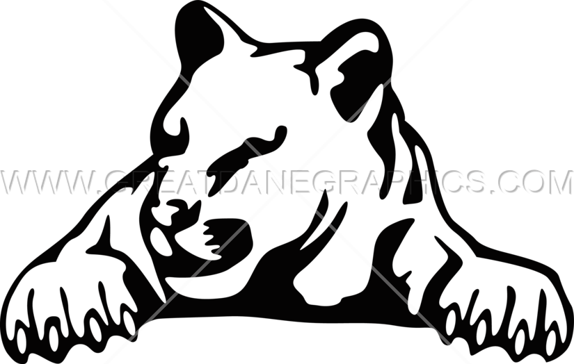 Cougar - Illustration (825x524)