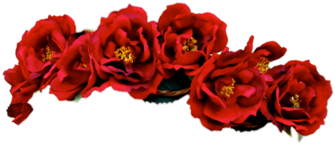 Transparent Flower Crowns - Red Flower Crown Png (720x376)