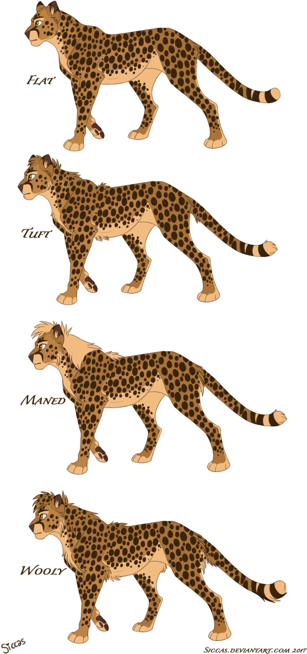 Cheetah Chart Ii By Siccas - Cheetah (608x1313)
